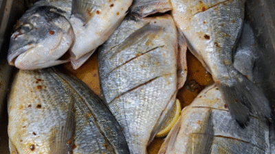 FIRINDA ÇUPRA TARİFİ Tarifi İçin Malzemeler 2 adet orta boy